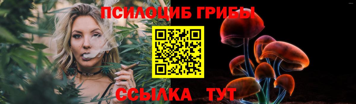 Мелеуз  Псилоцибиновые грибы прущие грибы  Вход с VPN 